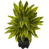 Nearly Natural 6789 20" Artificial Green Ginger Plant with Black Planter