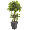 Nearly Natural 9387 5' Artificial Green Variegated Ficus Tree in Slate Planter