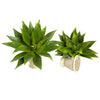 Nearly Natural 6109-S2 17" Artificial Green Agave Succulent Plant, Set of 2