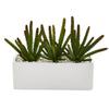 Nearly Natural P1294 9" Artificial Green Cactus Succulent Plant in White Planter