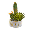 Nearly Natural 8743 13" Artificial Green Mixed Succulent & Cactus Plant in Decorative Planter