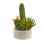 Nearly Natural 8743 13" Artificial Green Mixed Succulent & Cactus Plant in Decorative Planter