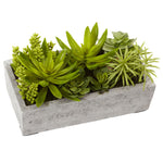 Nearly Natural 4841 6.5" Artificial Green Succulent Garden with Concrete Planter