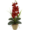 Nearly Natural Seasonal Phalaenopsis Orchid Arrangement