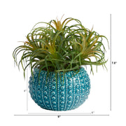 Nearly Natural P1685  9” Tillandsia Artificial Plant in Blue Planters