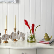 Nearly Natural A1484 16” Star Bromeliad Artificial Arrangement in Glass Vases