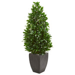 Nearly Natural 9372 56" Artificial Green Bay Leaf Cone Topiary Tree in Black Planter, UV Resistant (Indoor/Outdoor)