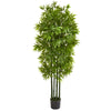 Nearly Natural 9146 64" Artificial Green Bamboo Tree with Green Trunks in Black Pot, UV Resistant (Indoor/Outdoor)