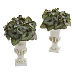 Nearly Natural 8143-S2 11" Artificial Green Rex Begonia Plant in White Urn, Set of 2