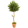 Nearly Natural 9342 63" Artificial Green Olive Topiary Tree in Terra Cotta Planter, UV Resistant (Indoor/Outdoor)