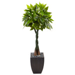 Nearly Natural 5978 5' Artificial Green Money Tree in Black Square Planter