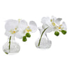 Nearly Natural A1051-S2 7" Artificial White Phalaenopsis Orchid Arrangement in Vase, Set of 2