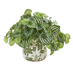 Nearly Natural 8557 12" Artificial Green Real Touch Watermelon Peperomia Plant in Vase