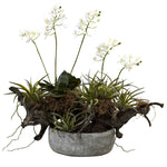 Nearly Natural 4839 20" Artificial Green & White Orchid & Succulent Garden with Driftwood & Decorative Vase