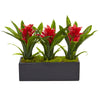 Nearly Natural Bromeliads in Rectangular Planter