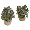Nearly Natural P1181-S2 9" Artificial Green Rex Begonia Plant in Stone Gray Planter, Set of 2