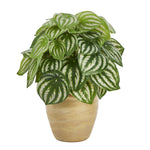 Nearly Natural 11``Watermelon Peperomia Artificial Plant in Ceramic Planter (Real Touch)