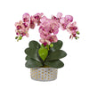 Nearly Natural 17`` Phalaenopsis Orchid Artificial Arrangement in Bowl with Gold Trimming