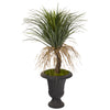 Nearly Natural T1034 3.5' Artificial Green Pony Tail Palm Plant in Decorative Brown Urn