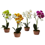 Nearly Natural 4991-S4 13" Artificial Phalaenopsis Orchid with Clay Vase, Multicolor, Set of 4