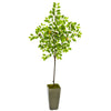 Nearly Natural 9612 6' Artificial Green Lemon Tree in Olive Green Planter