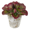 Nearly Natural P1156 11" Artificial Green & Maroon Succulent Plant in Weathered Oak Planter