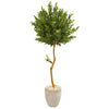 Nearly Natural 9343 5.5' Artificial Green Olive Topiary Tree in Sand Colored Planter, UV Resistant (Indoor/Outdoor)