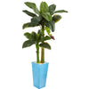 Nearly Natural 5604 5.5' Artificial Green Banana Tree in Turquoise Tower Vase