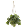 Nearly Natural 8560 24" Artificial Green Real Touch Watermelon Peperomia Plant in Hanging Vase