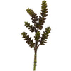 Nearly Natural 13`` Succulent Artificial Flower (Set of 12)