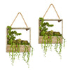 Nearly Natural 8366-S2 8" Artificial Succulent Garden Plant in Decorative Hanging Frame, Set of 2