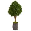 Nearly Natural 9704 49" Artificial Green Tea Leaf Tree in Metal Planter, UV Resistant (Indoor/Outdoor)