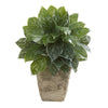 Nearly Natural P1230 25" Artificial Green Real Touch Silver Aglaonema Plant in Country White Planter