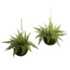 Nearly Natural 6743-S2 13" Artficial Green Leather Fern with Mossy Hanging Basket, Set of 2 (Indoor/Outdoor)