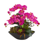 Nearly Natural Phalaenopsis Orchid and Mixed Succulent Garden Artificial Arrangement in Black Vase