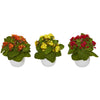 Nearly Natural 8`` Kalanchoe Artificial Plant in White Vase (Set of 3)