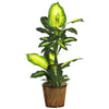 Nearly Natural 42`` Golden Dieffenbachia w/Basket Silk Plant