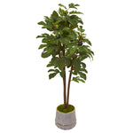 Nearly Natural 9688 47" Artificial Green Fig Tree in Stoneware Vase with Gold Trimming