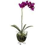 Nearly Natural 4832 Phalaenopsis Elegance Arrangement Plants