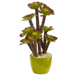 Nearly Natural 6483 20" Artificial Green Echeveria Succulent Plant in Green Ceramic Pot