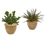 Nearly Natural 8517-S2 10" Artificial Green Aloe & Cactus Succulent Plant, Set of 2