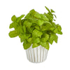 Nearly Natural 10`` Basil Artificial Plant in White Planter with Silver Trimming