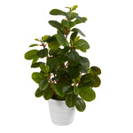 Nearly Natural P1508 16” Peperomia Artificial Plant in Decorative Planters