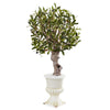 Nearly Natural 5833 3' Artificial Green Olive Tree in White Urn