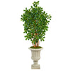 Nearly Natural T2456 63” Black Olive Artificial Tree in Sand Finished Urn