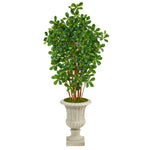 Nearly Natural T2456 63” Black Olive Artificial Tree in Sand Finished Urn