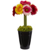 Nearly Natural Gerber Daisy Artificial Arrangement in Black Vase