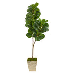 Nearly Natural T2500 5.5` Fiddle Leaf Fig Artificial Tree in Country White Planter