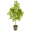 Nearly Natural 9621 54" Artificial Green Lemon Tree in Olive Green Planter