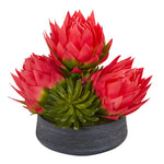 Nearly Natural A1193 17" Artificial Green & Red Triple Musella & Succulent Arrangement in Decorative Bowl